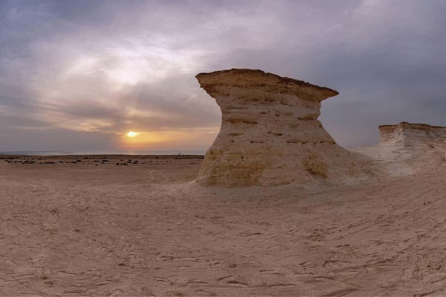 From Doha: Private West Coast and Camel Race Track Tour - Al Shahaniya Camel Racetrack: Where You Might Catch the Real Action