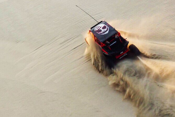 Full Day Desert Safari Doha/dinner included - Key highlights before you go