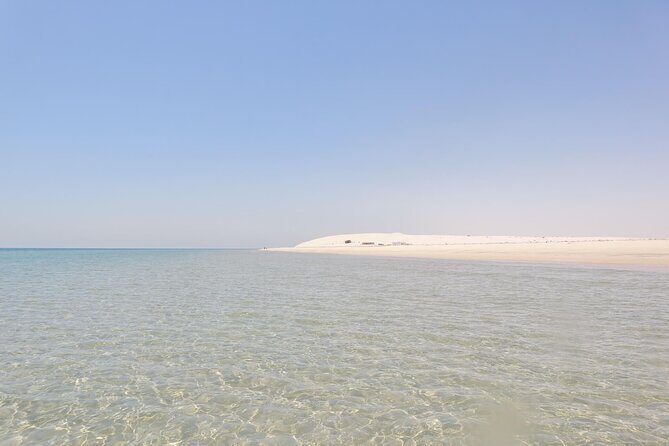 Full Day Desert Safari Doha/dinner included - Who should book this safari (and who should reconsider)