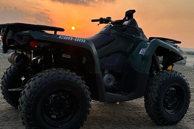 Full Day Desert Safari Doha/dinner included - Pickup to desert camp: how the day usually flows