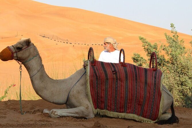 Full Day Desert Safari with Camp Access, Buffet Dinner,Camel Ride - Price and value: what $194.50 gets you (and what it doesn’t)