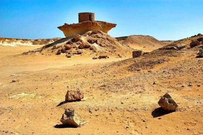 Full Day Qatar's North And West tour || History & Heritage - Why North and West Qatar feels like a different country
