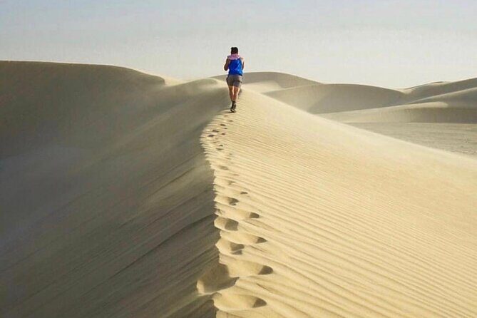 Half Day Desert Safari and Inland Sea - The Short Camel Ride: Included, but Kept Practical