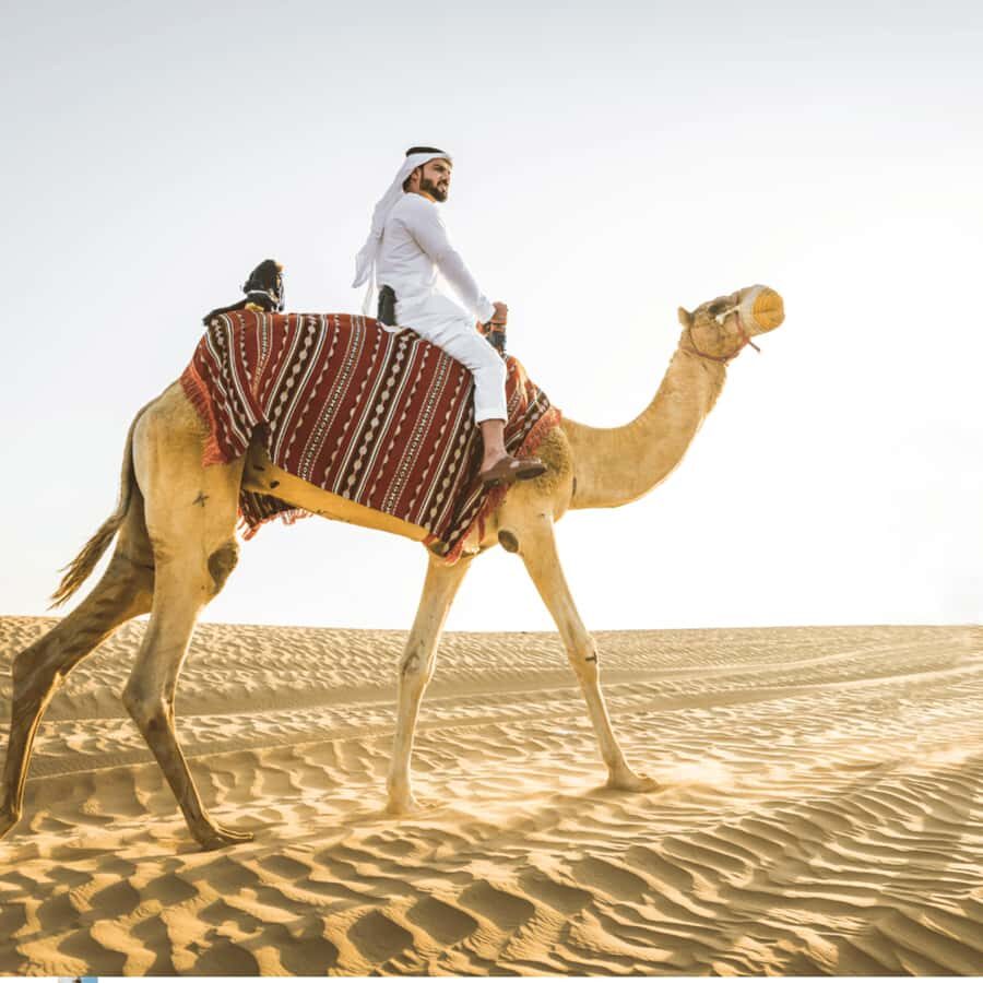 Half-Day Desert Safari For Cruise Ships Passngers. - Falcon Tours Qatar in a nutshell