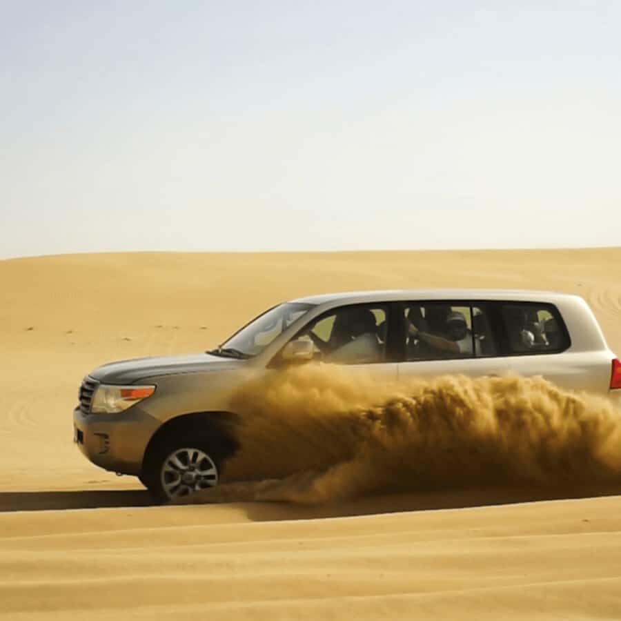 Half-Day Desert Safari For Cruise Ships Passngers. - A cruise-port desert safari that stays on your schedule