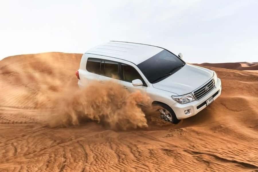 Half-Day Desert Safari For Cruise Ships Passngers. - Pickup, port area meeting, and your first drive into the dunes
