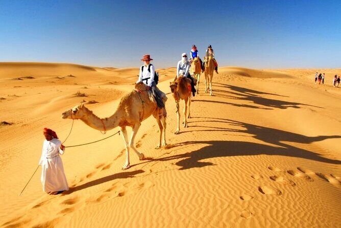 Half Day Desert Safari with Sand Boarding and Camel Ride - Who Should Book (and Who Should Skip) This Dune-Bashing Safari