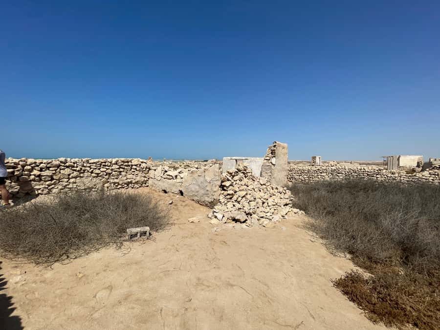 North of Qatar: Olafur Eliasson Exibit, Zubara fort & jumail - What You Get for $68: Value, Inclusions, and the Missing Piece