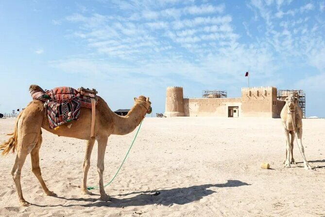 North of Qatar Tour to Olafur Eliasson,Zubara Fort,Jumail Village - Olafur Eliasson at Shadows Travelling on the Sea of the Day
