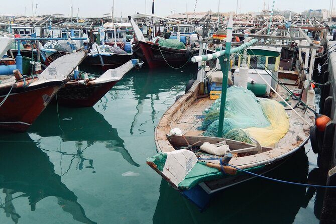 North Qatar Guided Expedition to Nature Charms - Key Highlights You’ll Actually Care About