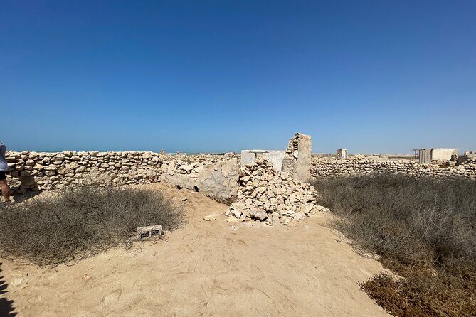 North Qatar Guided Expedition to Nature Charms - Price and Value: Why $49.60 Can Feel Fair Here