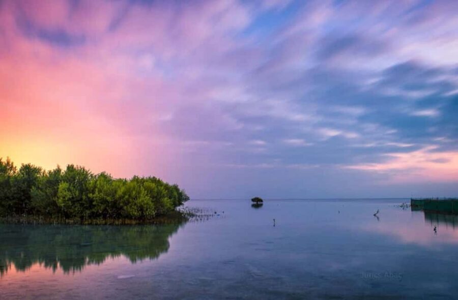 North Qatar: Zubara Fort, Jumail Village, Thakhira Mangroves - Why North Qatar Works So Well in One Day