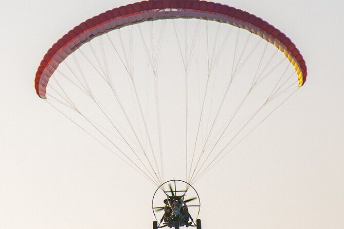 Paratrike Air Tour Doha - Booking timing and your odds of a smooth day