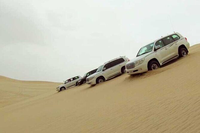 Private Desert Safari, Sand Dunes Bashing and Inland Sea Visit - The pickup and ride comfort that makes bumpy feel manageable
