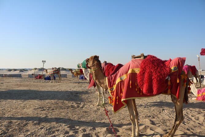 Private Desert Safari Tour 4 hours - The 4-Hour Flow: Sunrise-First, Then Thrills