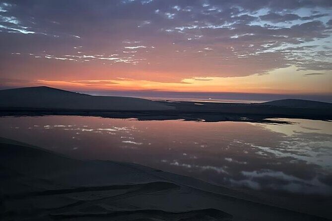 Private Desert Safari Tour 4 hours - Stop 3 at Sealine Beach for Dune Bashing: Your 45 Minutes of Adrenaline