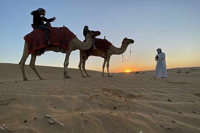 Private Doha City & Desert Safari Combo – Full-Day Adventure - A 6–7 hour Doha city and desert combo that fits real schedules