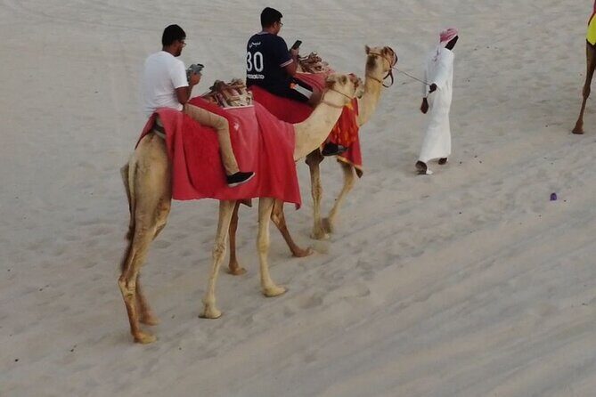 Private-Doha Horse Ride/Camel Ride/Quad Bike All Inclusive Tour - Key things you’ll notice right away