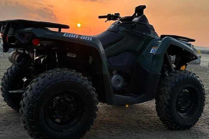 Private-Doha Horse Ride/Camel Ride/Quad Bike All Inclusive Tour - Sealine Beach Inland Sea View: A Quick Break Without Killing the Momentum