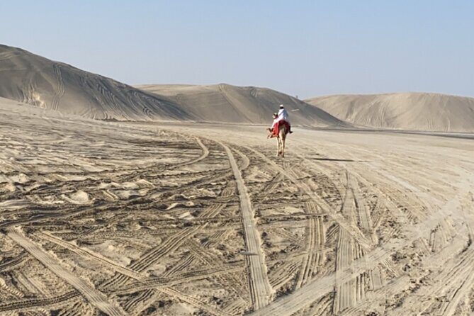 Private Dunes Bashing | Desert Safari | Sand Boarding - Private Doha dunes bashing: what the 4–5 hours actually feels like