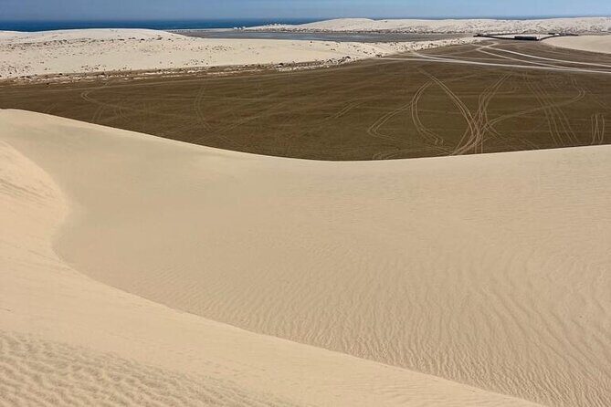 Private Dunes Bashing | Desert Safari | Sand Boarding - Sand boarding: the easiest adrenaline add-on