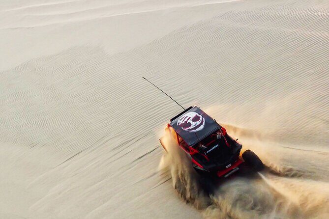 Private Full Day Desert Safari Dinner and Camel Ride in Doha - Key highlights you’ll actually care about