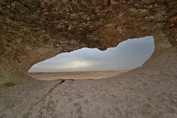 Private Full Day Guided Tour in Qatar North and West - Al Thakhira Beach mangroves: nature that actually does work