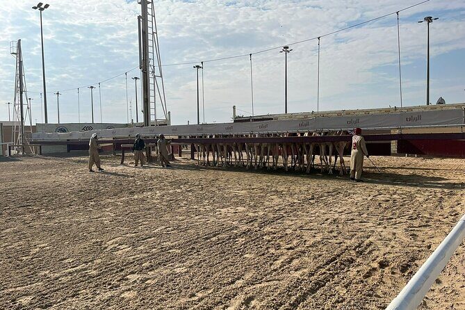Private Full Day Guided Tour in Qatar North and West - Purple Island (Jazirat bin Ghanim): the short path that changes the water