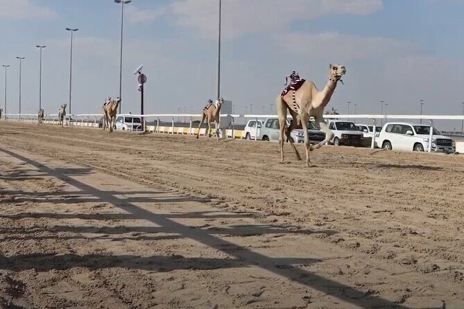 Private Full Day Guided Tour in Qatar North and West - Al Jumail: old pearling and fishing village atmosphere