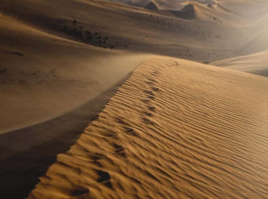 Private Gentle Sands Desert Experience Without Dune Bashing - Getting There: Pickup, Transfers, and Timing That Fits a Morning