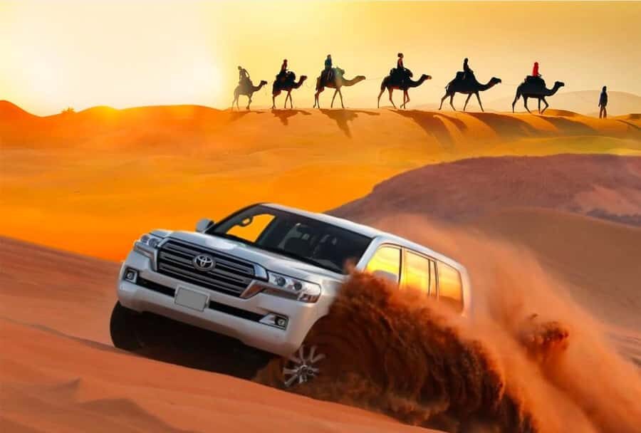Private Gentle Sands Desert Experience Without Dune Bashing - Who This Safari Is For (and Who Should Rethink It)