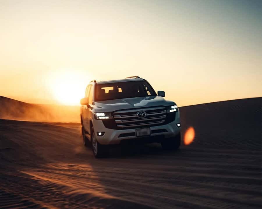 Private Gentle Sands Desert Experience Without Dune Bashing - The First Desert Stops: Tea, Photo Breaks, and Falconry Watch Time
