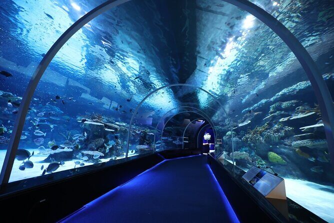 Private Hamad Port Tour in Mesaieed |Aquarium |Maritime Museum - Key Things To Know Before You Go