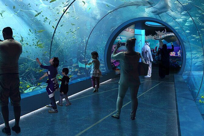 Private Hamad Port Tour in Mesaieed |Aquarium |Maritime Museum - Why Hamad Port Visitors Centre Feels Like Two Tours in One
