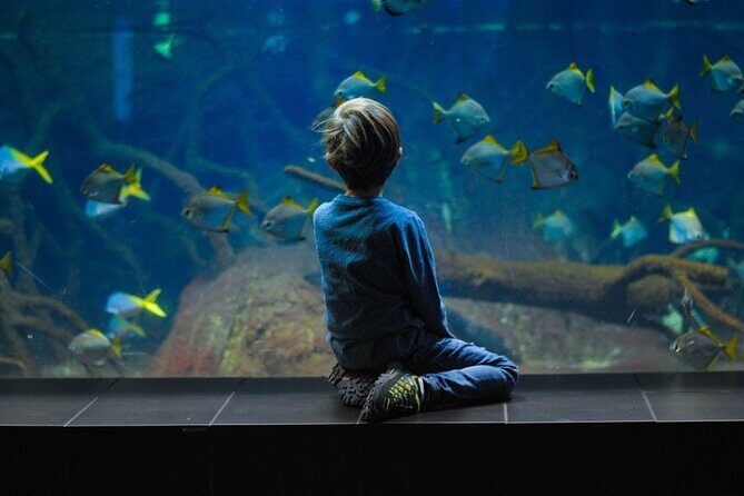 Private Hamad Port Tour in Mesaieed |Aquarium |Maritime Museum - Museum First: Maritime Themes and Interactive Learning