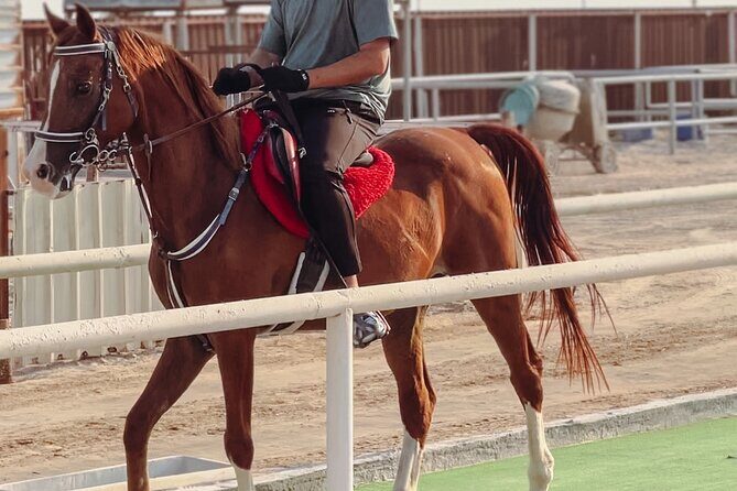 Private Horse and Camel Riding Experience in Doha - Horse and Camel Riding in Doha’s Desert: What Makes It Worth Your Time