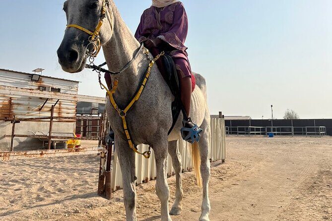 Private Horse and Camel Riding Experience in Doha - Switching to Camels: The 5–10 Minute Segment That Still Feels Special