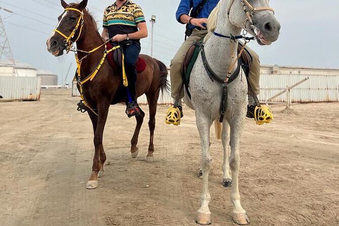 Private Horse and Camel Riding Experience in Doha - What’s Included (and Why It Makes the Experience Easier)