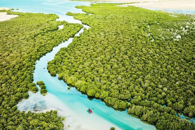 Private North of Qatar Tour - Should you book this North of Qatar Tour?