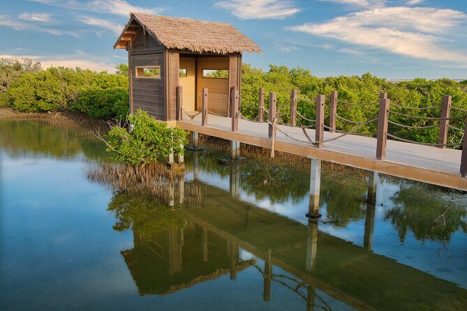 Private North of Qatar: Zubara Fort | Jumail Village | Al-Thakhira Mangroves - Al Khor Park and Harbor: Where Pearls Used to Drive the Coast