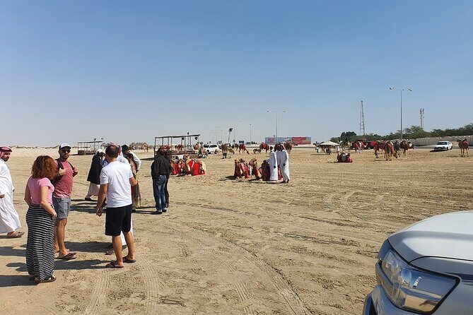 (Private) Quickie to the Desert | Sandboarding | Inland Sea - Optional activities in the desert: choose your level
