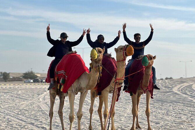 Private Sealine Beach Tour with Desert Activities - The Tea Area and Falcon Mention: Small Stops, Real Atmosphere