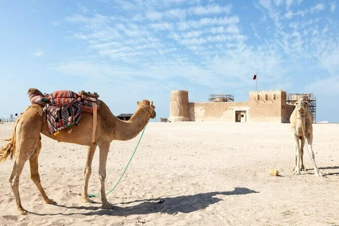 Private Tour in Northern Qatar - What it feels like on the day: pacing, private comfort, and a guide-led flow