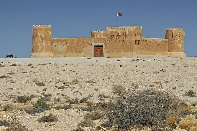 Private Tour in Northern Qatar - Purple Island: mangroves, birds, and a guide who explains the ecology
