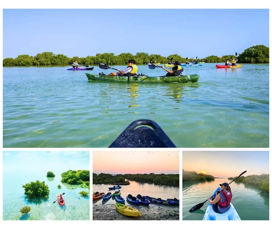 Qatar: Al Thakira Mangrove Forest Kayaking Tour - Why Al Thakira Mangroves are such a good use of half a day