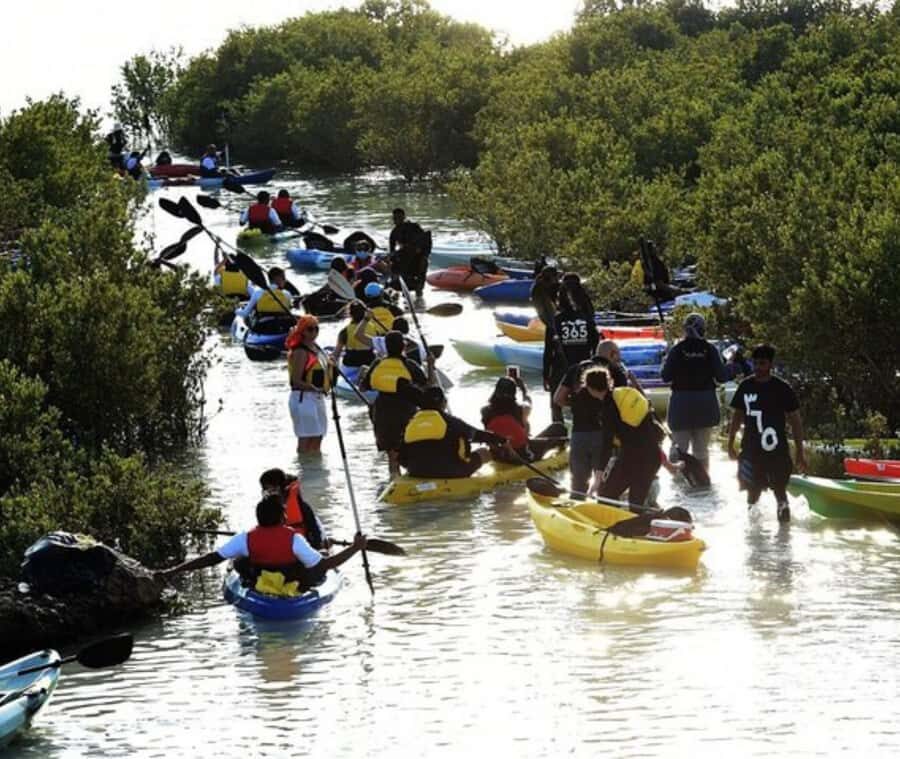Qatar: Al Thakira Mangrove Forest Kayaking Tour - The pre-kayak stretch: breaks, photos, and a quick setup