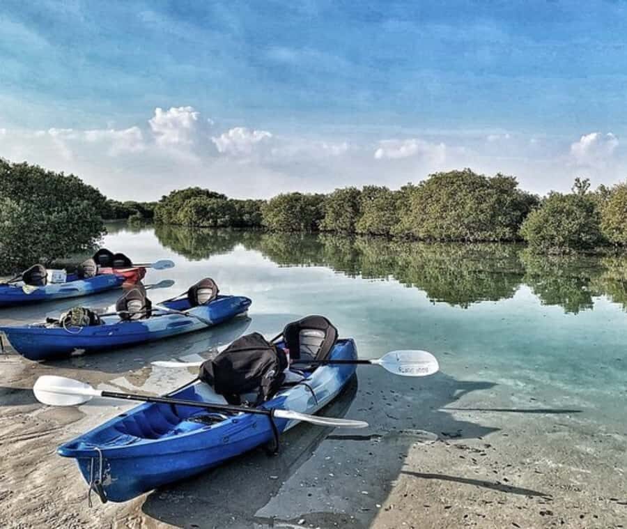 Qatar: Al Thakira Mangrove Forest Kayaking Tour - Getting from Doha to Al Khor: the ride sets the tone