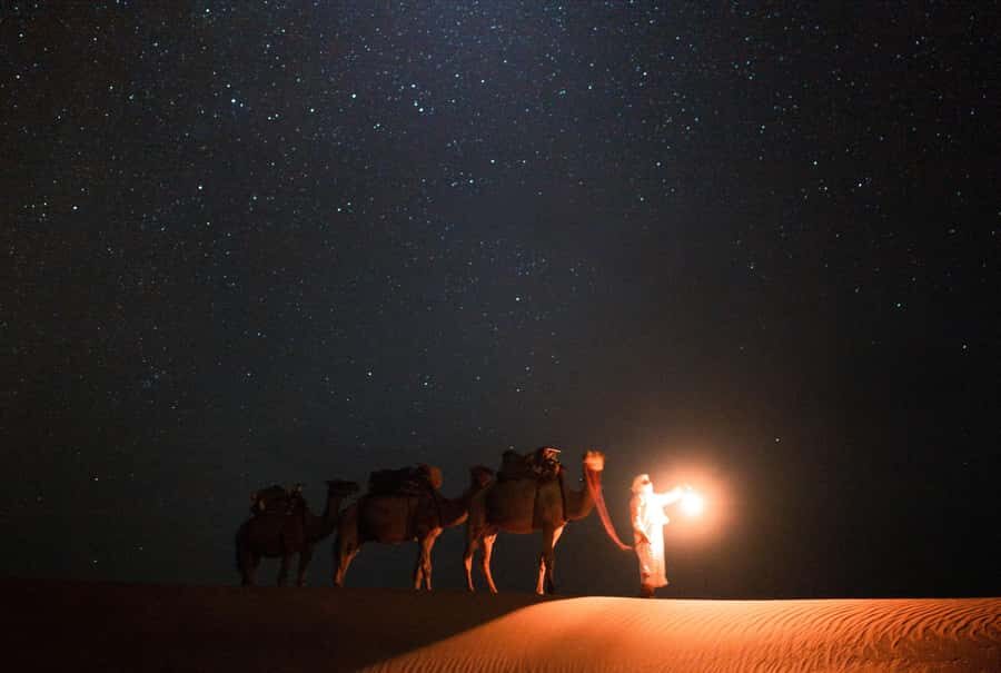 Qatar: Night Desert Safari| Camel Ride| Inland Sea Beach - Key Things You’ll Notice