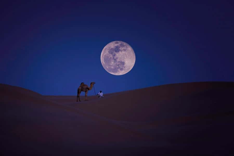 Qatar: Night Desert Safari| Camel Ride| Inland Sea Beach - Mesaieed Stop: Coffee, Photos, and a Camel Ride Break