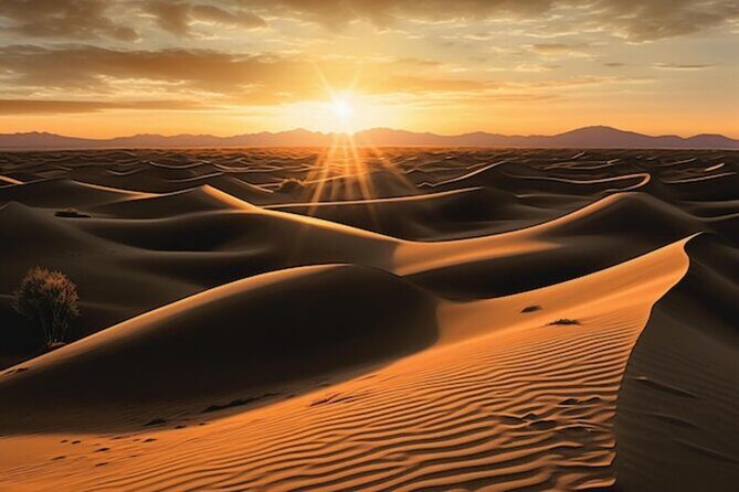Qatar: Sunrise or Sunset Desert Tour in Doha, unforgettable trip - The photo moment at the Inland Sea: sunrise or sunset meets sand